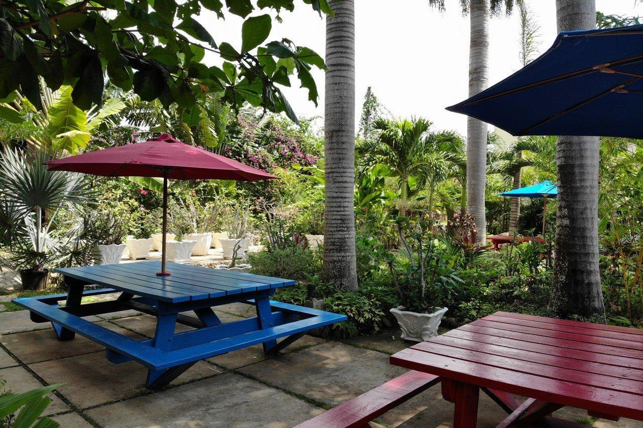 Hotel Negril Palms Exteriér fotografie