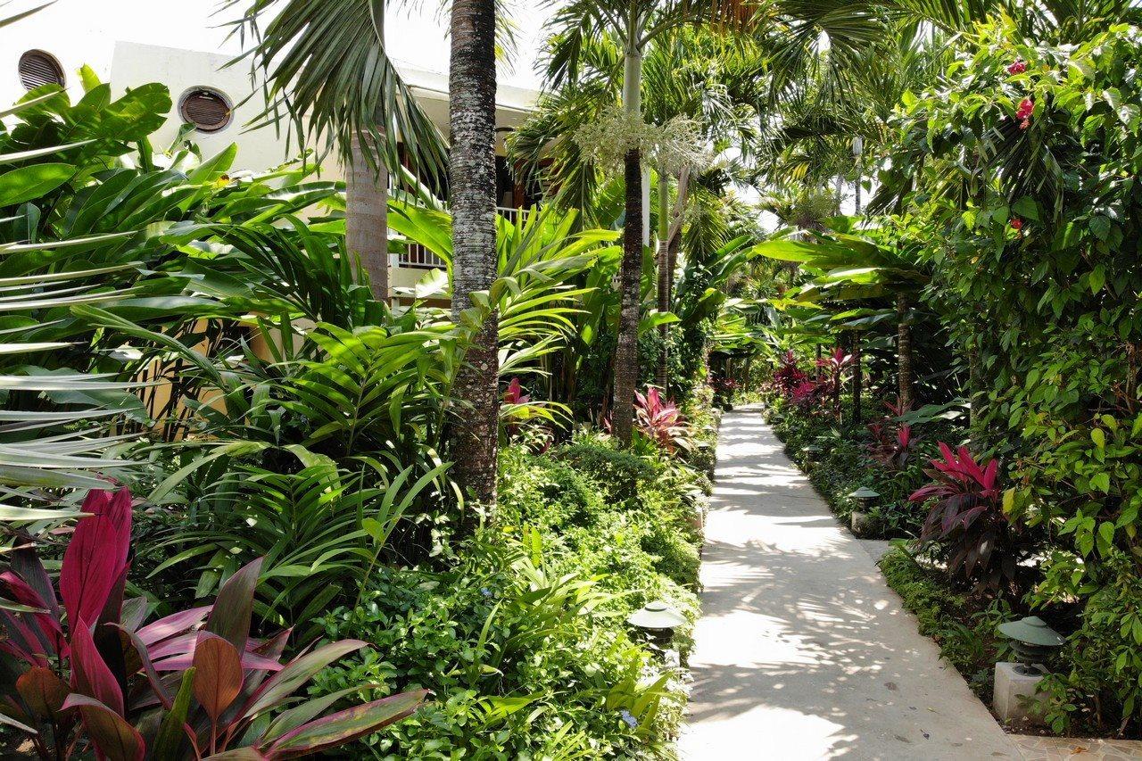 Hotel Negril Palms Exteriér fotografie