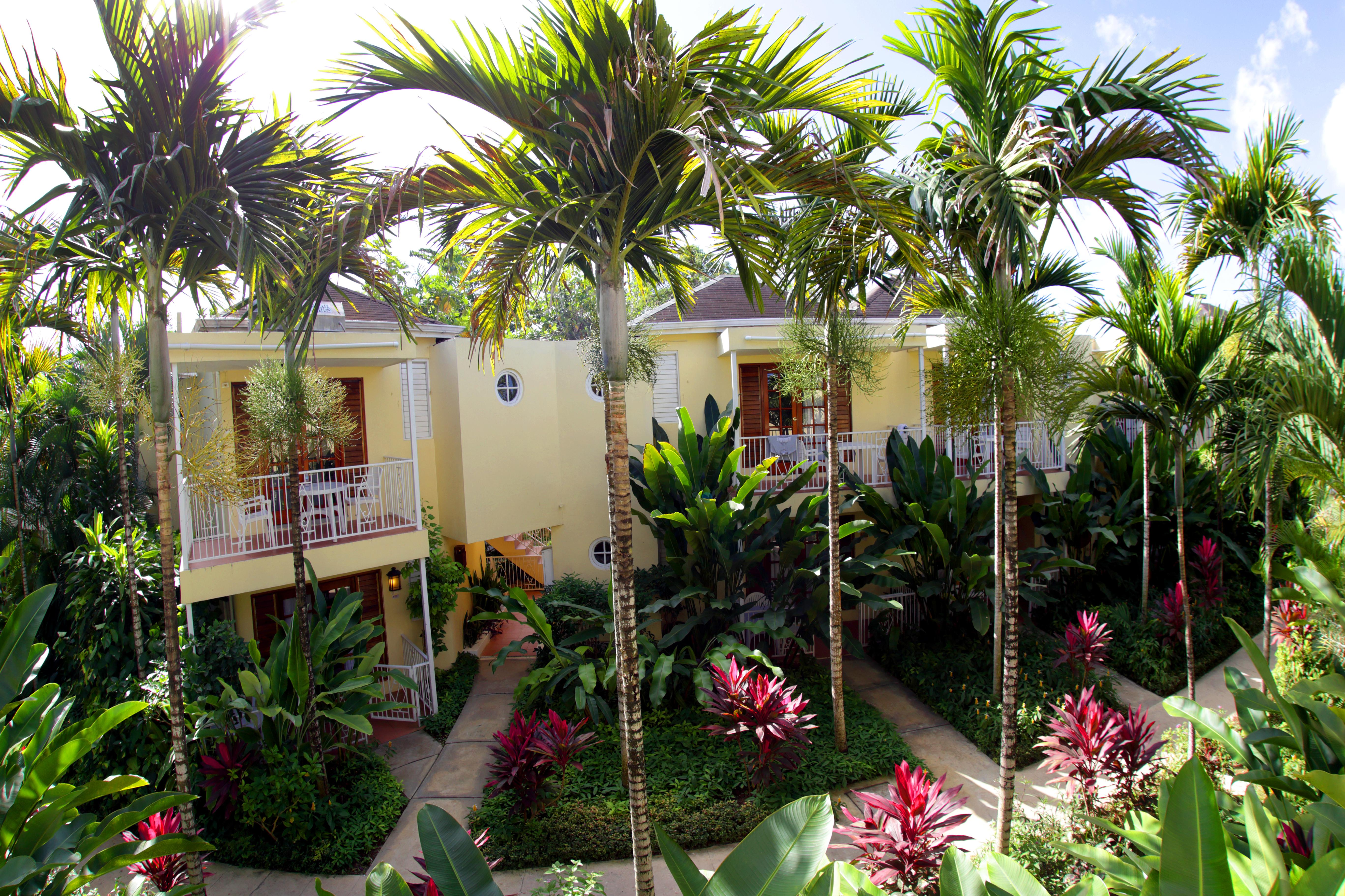 Hotel Negril Palms Exteriér fotografie