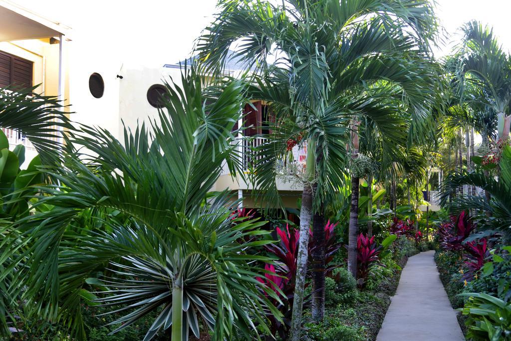 Hotel Negril Palms Exteriér fotografie